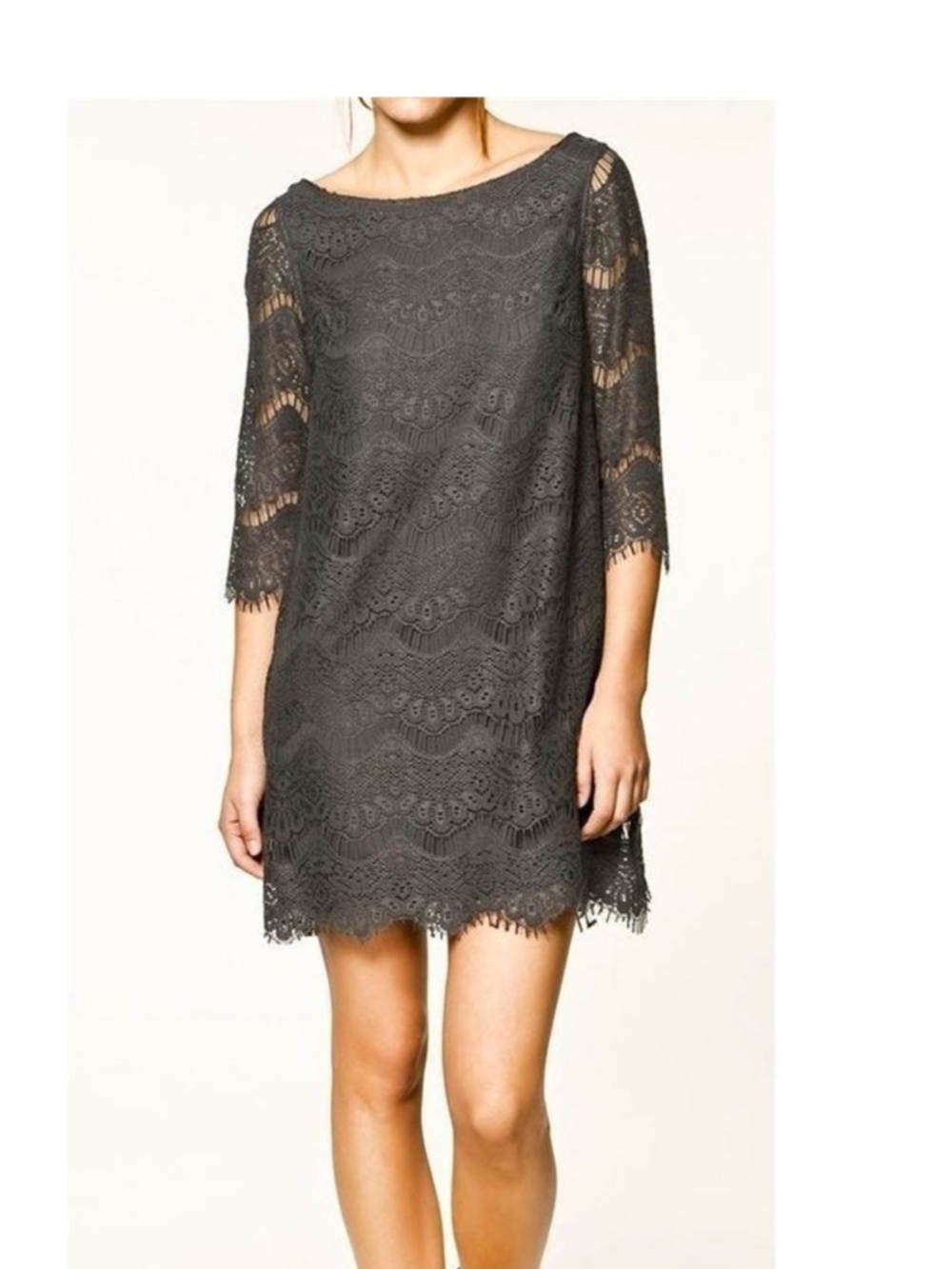 Zara ZARITA lace dress new